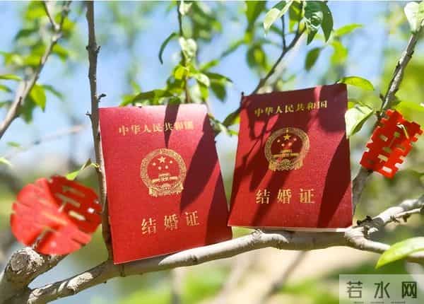 专家称2023年出现补偿性结婚潮