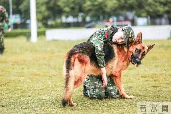 张馨予整容,军嫂张馨予：整容上位黑料不断，手撕前任李晨，遇真爱后却转型