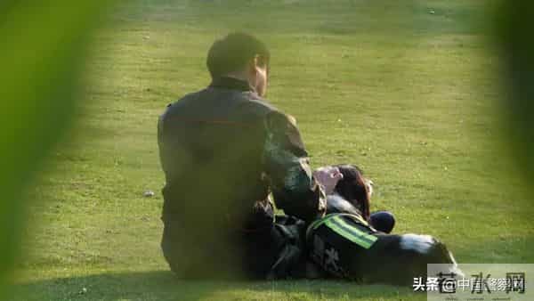 bingo,火遍全网！警犬BINGO是如何走上“犬”生巅峰的？