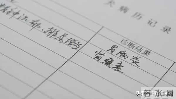 bingo,火遍全网！警犬BINGO是如何走上“犬”生巅峰的？