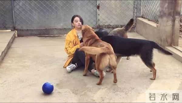 张馨予整容,军嫂张馨予：整容上位黑料不断，手撕前任李晨，遇真爱后却转型