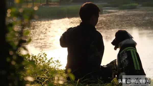 bingo,火遍全网！警犬BINGO是如何走上“犬”生巅峰的？