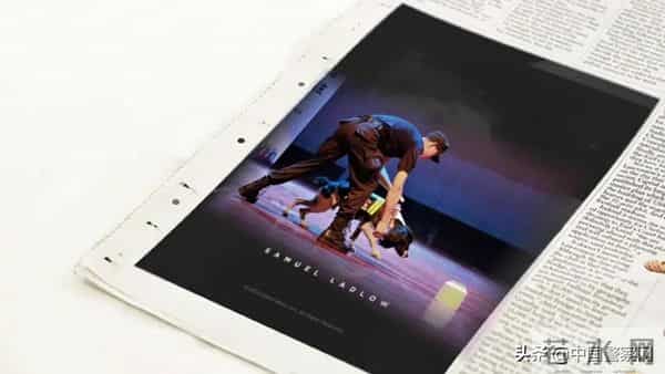 bingo,火遍全网！警犬BINGO是如何走上“犬”生巅峰的？