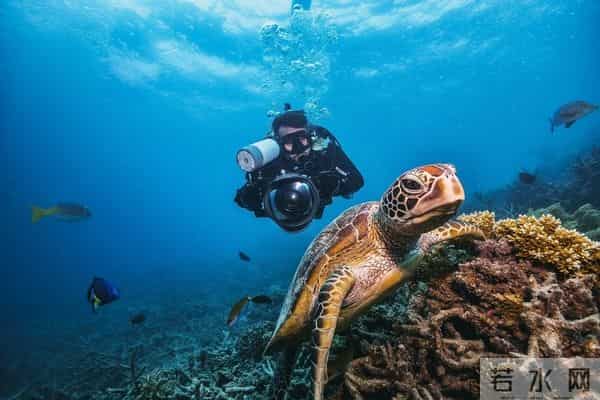 自然奇观,你真的了解世界七大自然奇观吗?每处都藏着地球的“鬼斧神工”