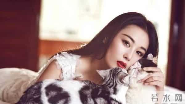 张馨予整容,军嫂张馨予：整容上位黑料不断，手撕前任李晨，遇真爱后却转型