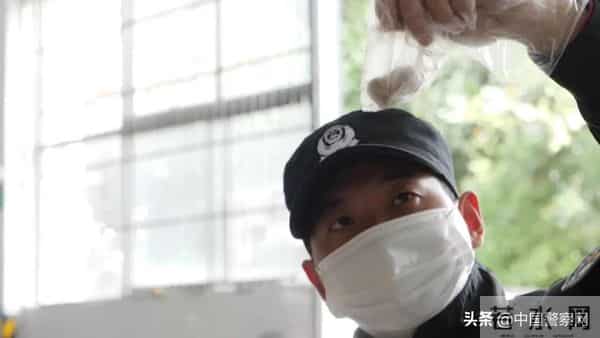 bingo,火遍全网！警犬BINGO是如何走上“犬”生巅峰的？