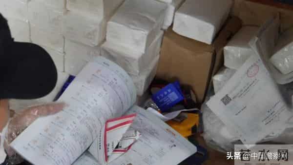 bingo,火遍全网！警犬BINGO是如何走上“犬”生巅峰的？