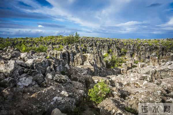 世界上最小的国家,全球最小的5个国家，其中一个还不到1平方公里，散散步就出国了