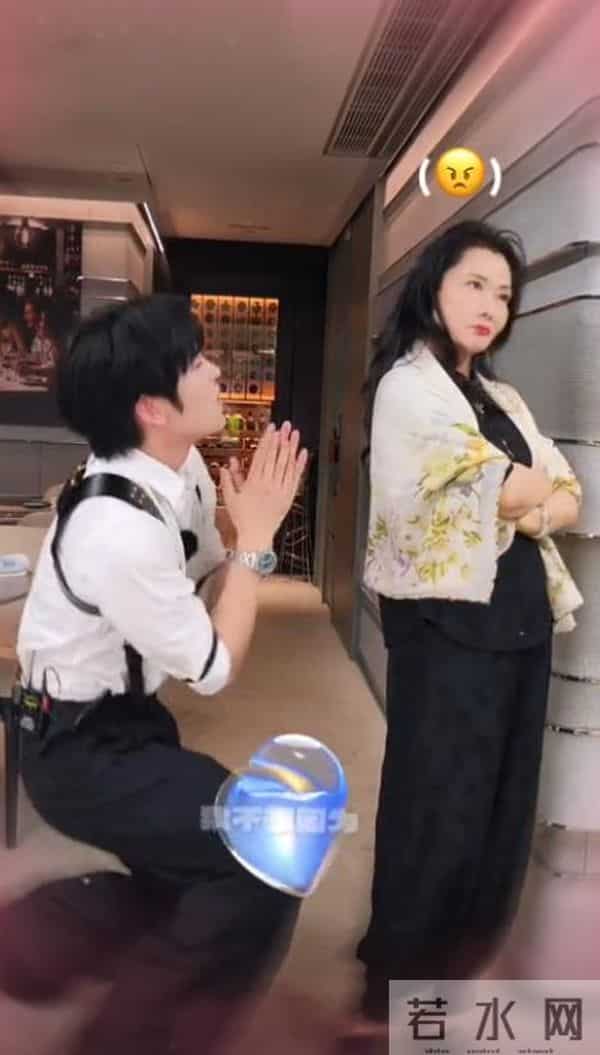 祸从口出?催生刘嘉玲、"内涵"张柏芝的何赛飞,让内娱沉默