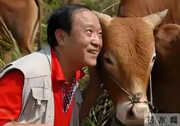 事实证明,干一行败一行,妻离子散的牛群,已经走上了另一条大道