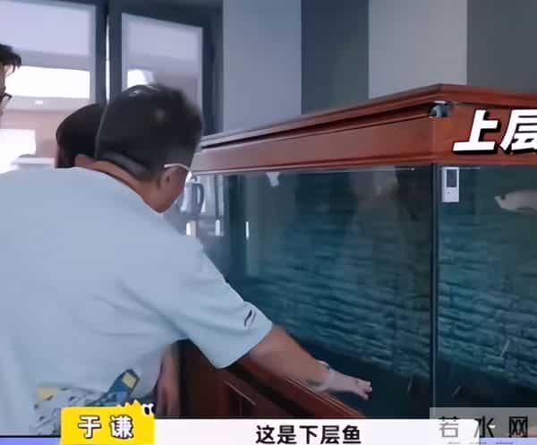 演都不演?于谦成"老赖"不到五天过往被扒,令人恶心的一幕发生