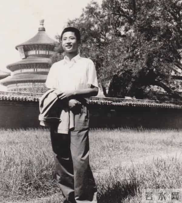 "抛妻弃子"真相大白仅2年，周野芒再官宣喜讯，孙俪的话有人信了