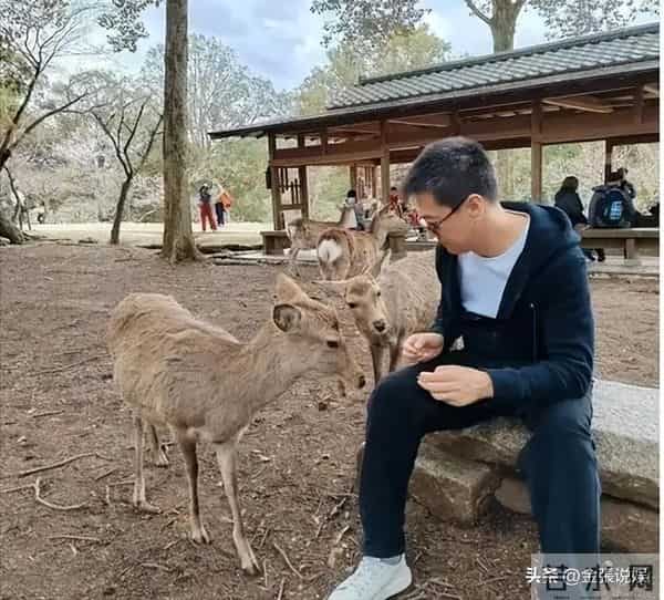 从确诊到去世仅15天,"央视最帅主持人"的遭遇为人们敲响警钟