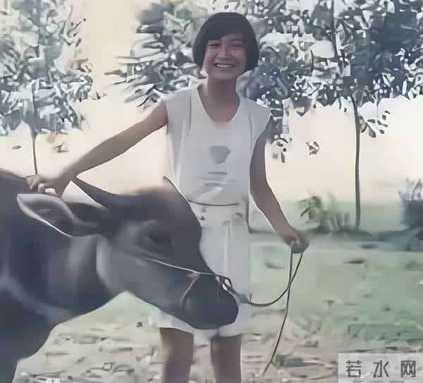 钱赚够了不装了?退出春晚销声匿迹的贾玲,如今的下场怪不了别人