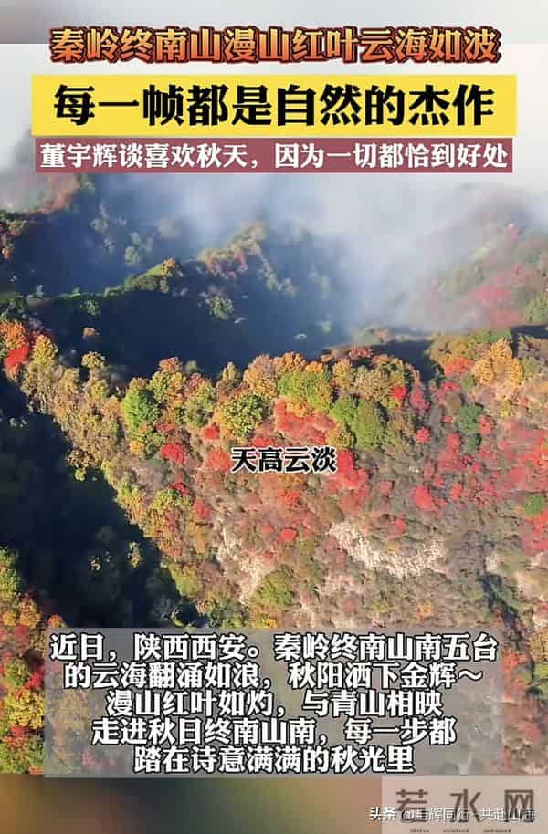 破纪录！宇辉10月销售破28亿，登抖音重榜，将参加家乡某重要活动
