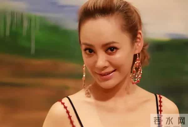 宁静做梦也没想到,美国前夫留给她的儿子,如今竟成她唯一的依靠