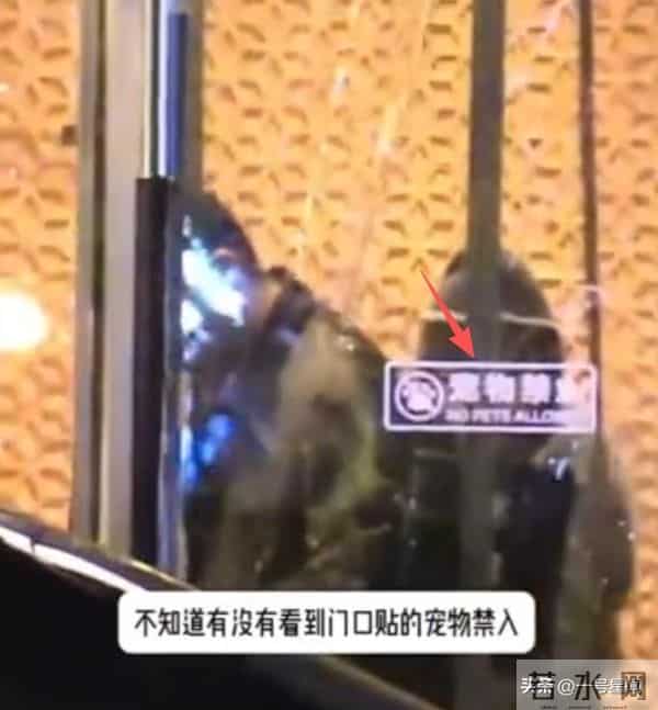 从"交际花"到"豪门阔太",霍思燕不敢回应有女儿,背后真相太现实