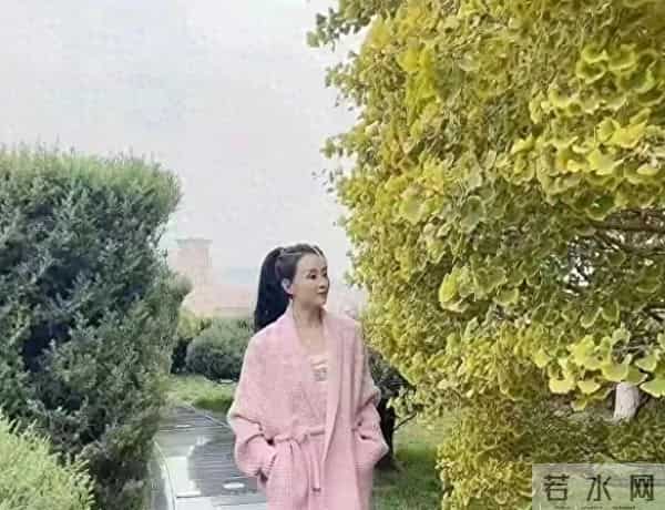 王艳太有钱了，穿睡衣在自家花园散步，背后就是紫禁城！