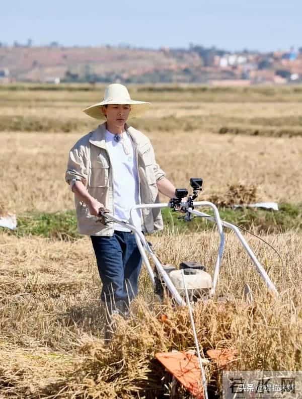 花少7中的张晚意太暖了,默默做事,还会贴心给李沁准备礼物