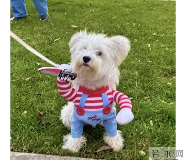 夏露更新动态，晒和儿子万圣节cos照，美貌真的很吸睛马龙太幸福