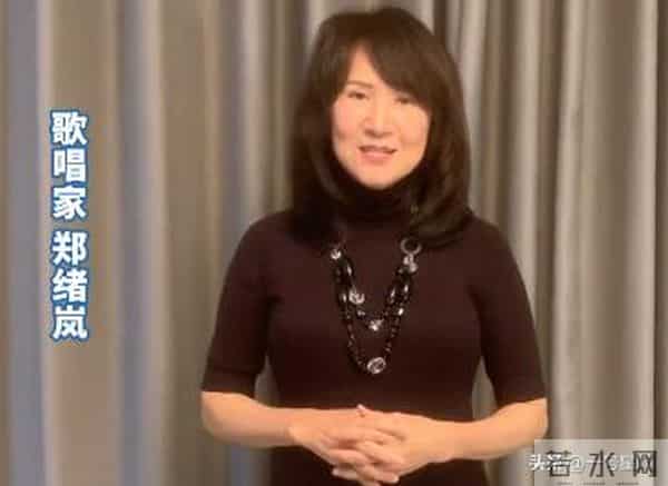 国内赚钱国外花,被"玩腻"后回国捞金的郑绪岚,终究遭到了"反噬"