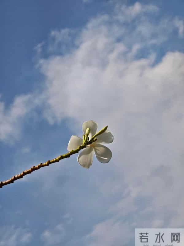 磕到了!刘雯回新加坡感受夏天,评论区直接被狠狠的秀到!
