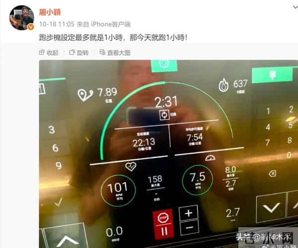 音乐人屠颖突发意外离世！跑步摔倒抢救无效，齐豫紧急取消演唱会