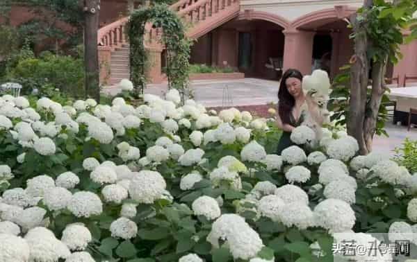 从"交际花"到"豪门阔太",霍思燕不敢回应有女儿,背后真相太现实