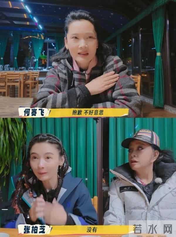 祸从口出?催生刘嘉玲、"内涵"张柏芝的何赛飞,让内娱沉默