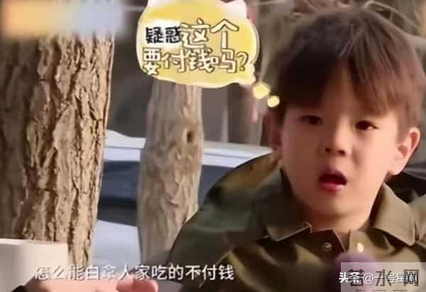 从"交际花"到"豪门阔太",霍思燕不敢回应有女儿,背后真相太现实