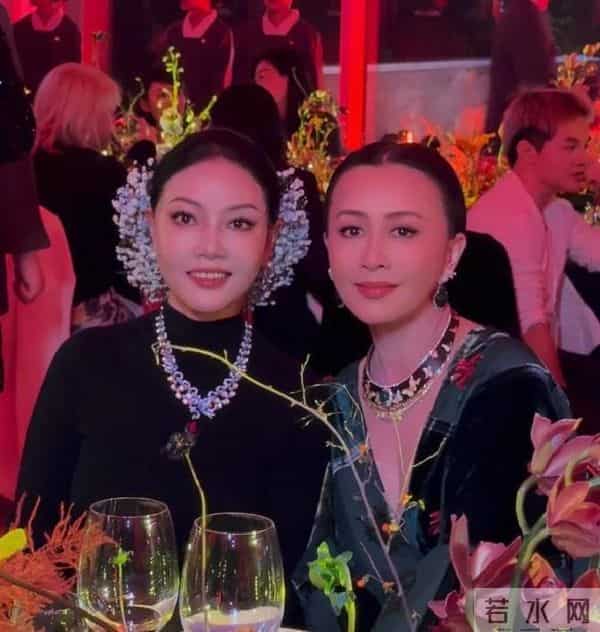 江苏珠宝晚宴,刘嘉玲真空上阵,徐璐瘦成皮包骨,颖儿嘴歪成这样