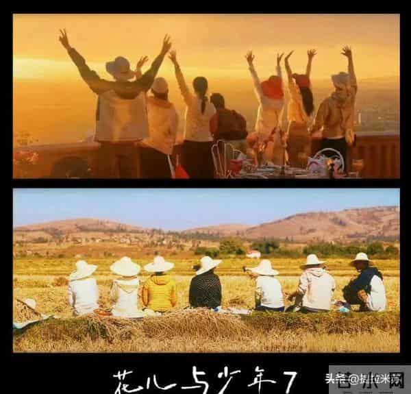 花少7中的张晚意太暖了,默默做事,还会贴心给李沁准备礼物