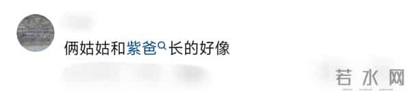 32岁杨紫陪父母和家人相聚,杨紫父亲低调随和,杨紫母亲状态年轻