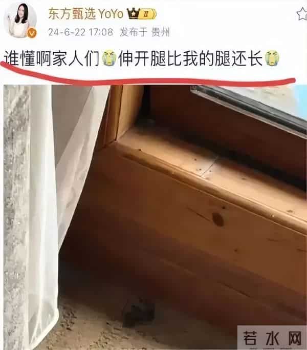 董宇辉成大款,顿顿当老板,留下的YOYO却熬成“废子”令人唏嘘