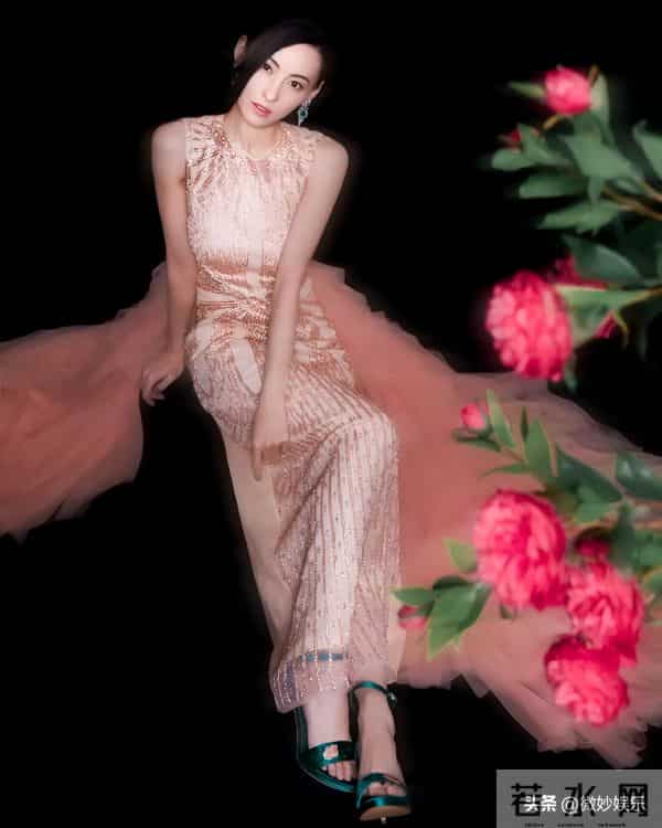 张柏芝｜风华绝代依旧