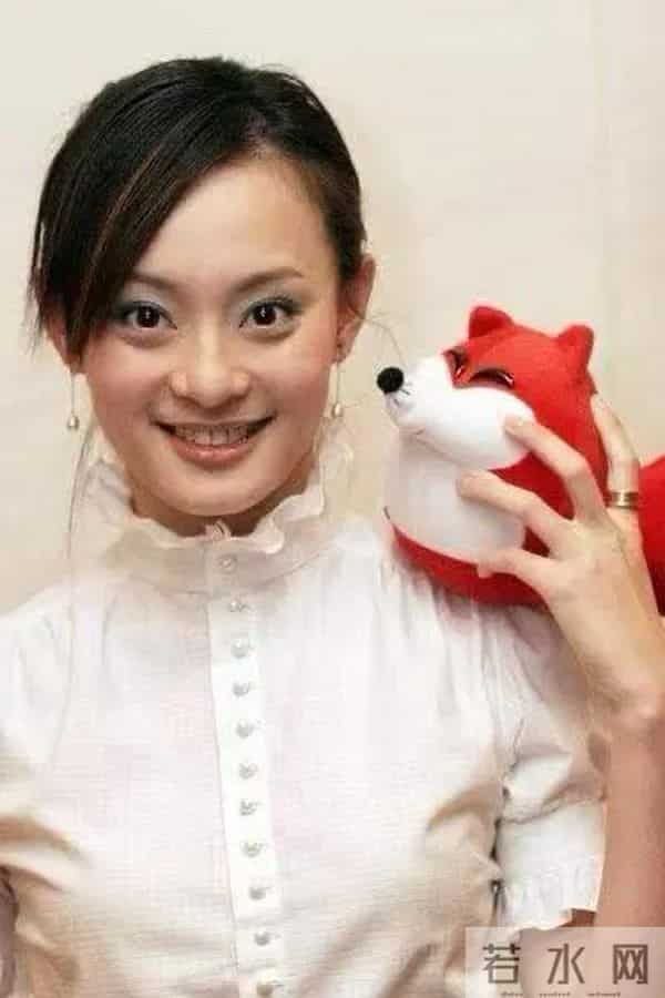 明星颜值的巅峰时刻一一孙俪(4)