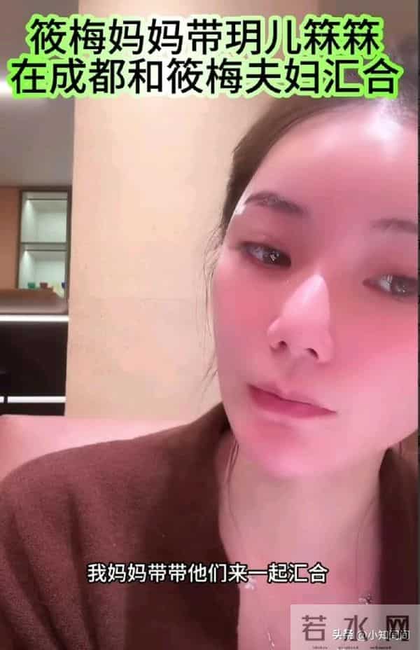 好消息!张兰已到成都,只等两个孩子,明日汪汪队一起看熊猫了!