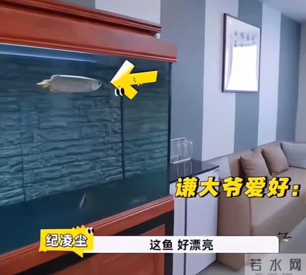 演都不演?于谦成"老赖"不到五天过往被扒,令人恶心的一幕发生