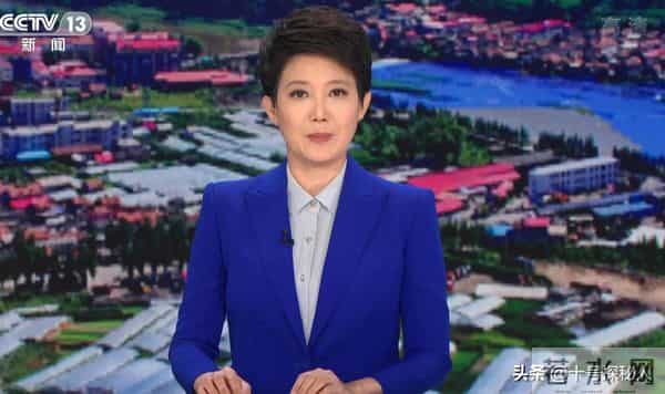 至今未婚的5位央视女主持,个个情史干净,最大52岁最小35岁