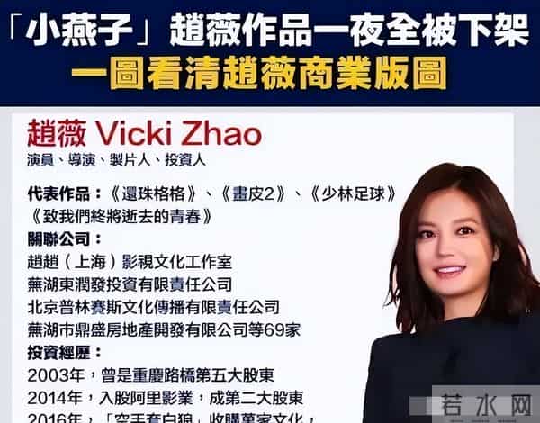 落地的凤凰不如鸡?消失四年后,赵薇终是为自己的“选择”买了单