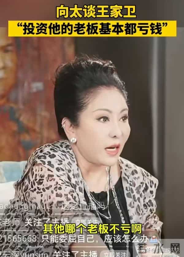 向太太敢了！直播怒评王家卫没用，投资几乎全亏，并点出张叔平