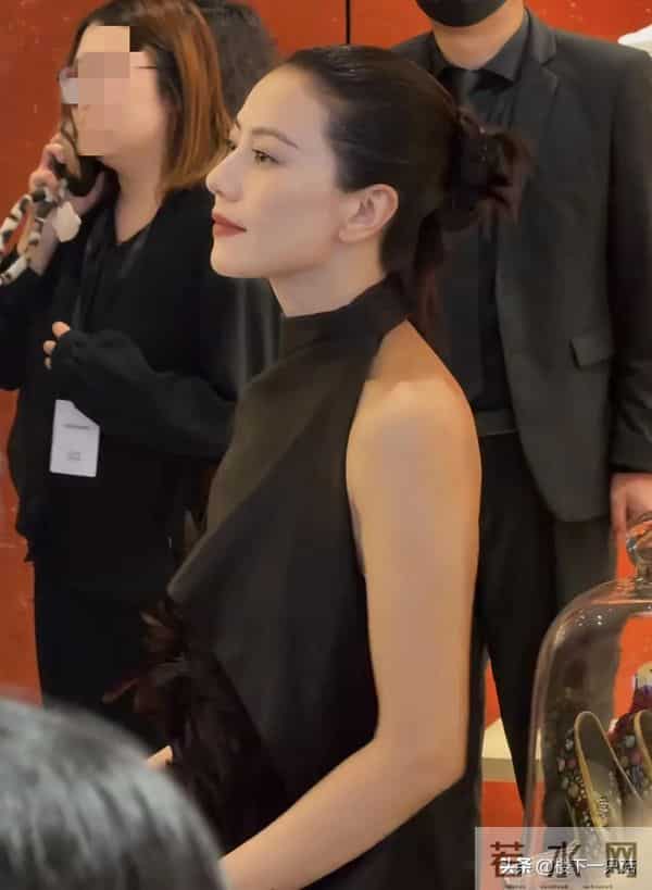 高圆圆初冬活动大秀美背 贴头皮造型优雅 细纹也挡不住的顶级骨相美