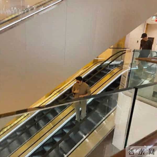 星二代长大了！谢霆锋儿子Lucas近照曝光，网友：这气质绝了