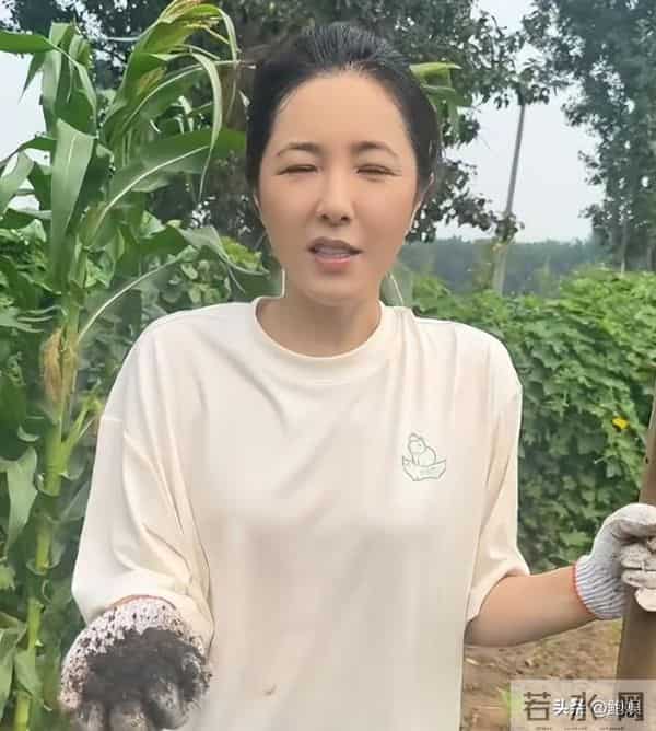 昔日风光已然不再,曾黎回家种地沧桑感尽显,终为自己行为买了单