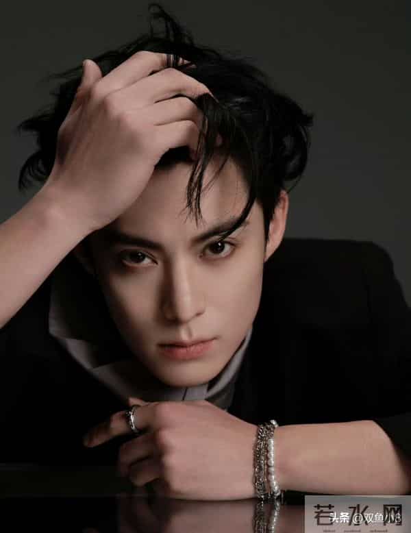 杨紫、李现、白鹿、刘宇宁、黄晓明、王鹤棣、张凌赫、罗云熙等