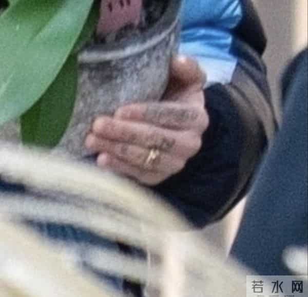 贝克汉姆儿子因婆媳大战被迫分手，半年后戴婚戒复合打脸全家