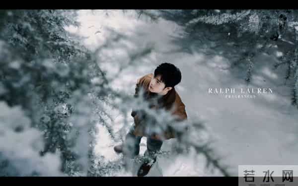 11.4娱乐瓜:肖战 杨紫 成毅 杨幂 白鹿 彭小苒 张凌赫 梁洁 李兰迪