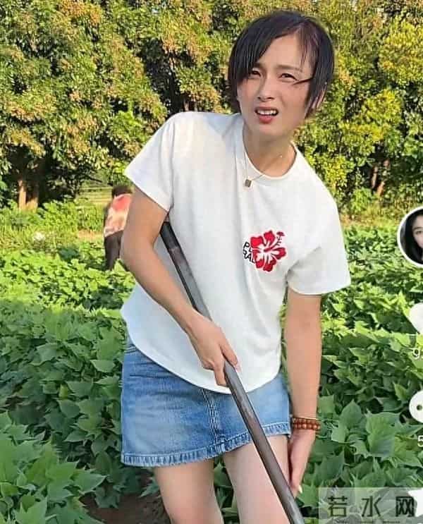 二哈火力全开，连续10条评论回怼网友，还说哈爸财产就是给她们了