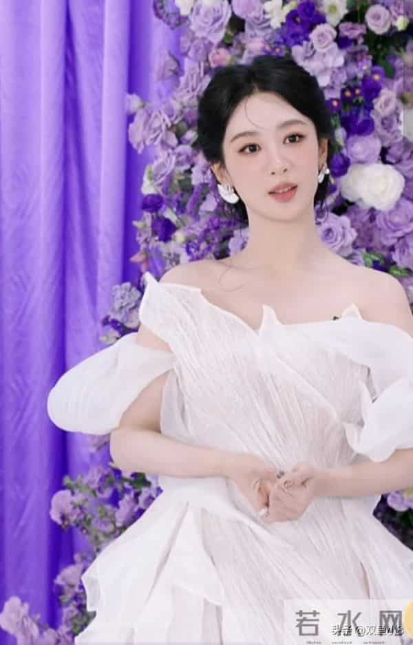 杨紫、李现、白鹿、刘宇宁、黄晓明、王鹤棣、张凌赫、罗云熙等