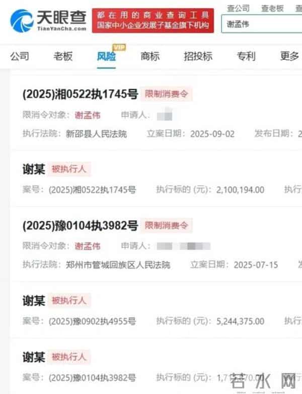 嘎子哥谢孟伟及妻子郭珊珊再次被限制高消费!谢孟伟还能翻身吗